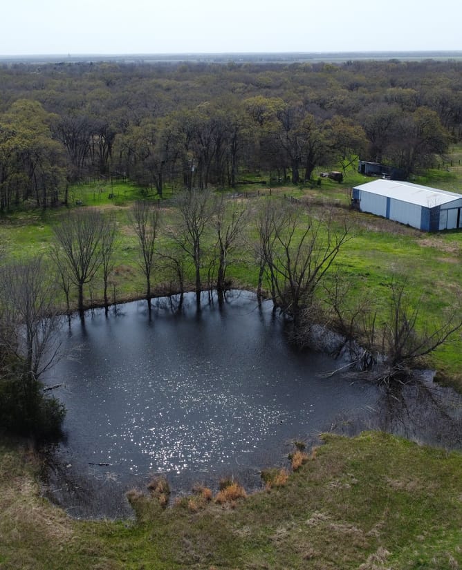 23 Acres in Kemp, TX