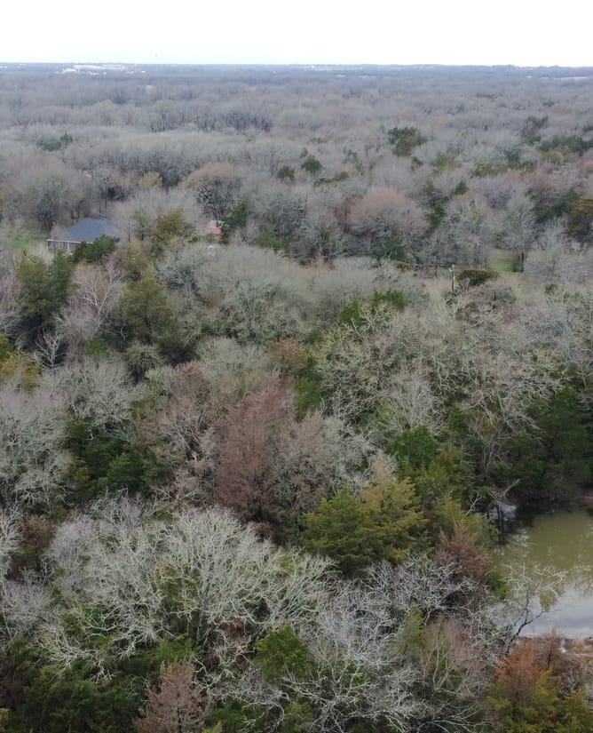15.610 Acres in Groesbeck, TX