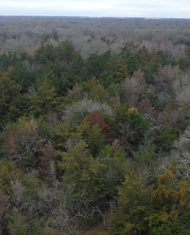 15.610 Acres in Groesbeck, TX