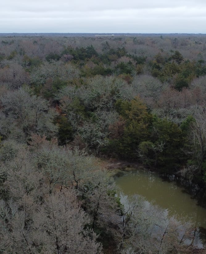 15.610 Acres in Groesbeck, TX