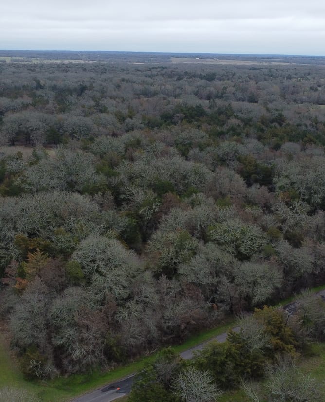 15.610 Acres in Groesbeck, TX