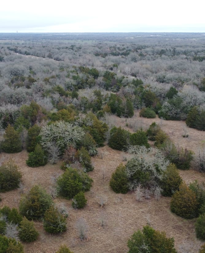 15.610 Acres in Groesbeck, TX