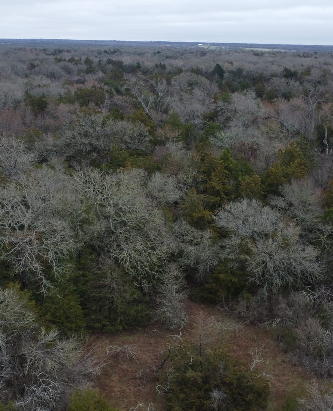 15.610 Acres in Groesbeck, TX