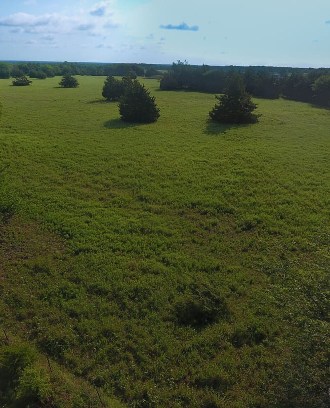 22 Acres in Lone Oak, TX
