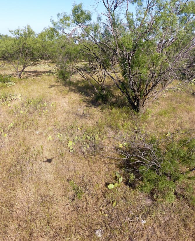 90 Acres Near Graham, TX