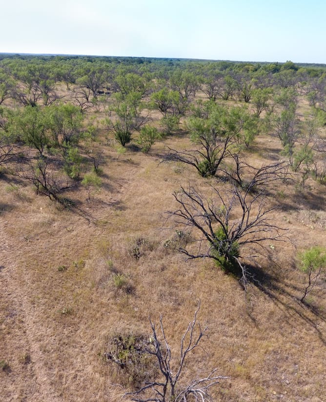 90 Acres Near Graham, TX