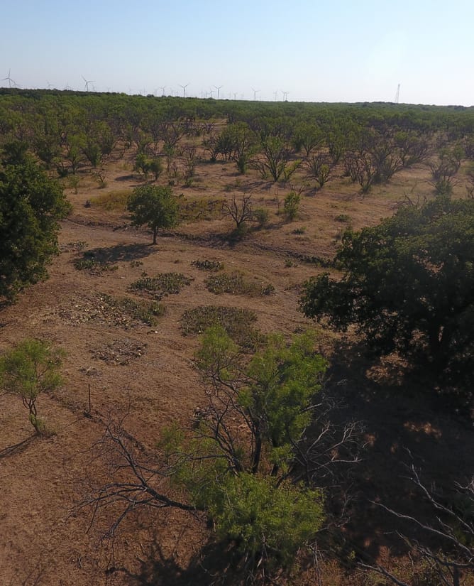 90 Acres Near Graham, TX