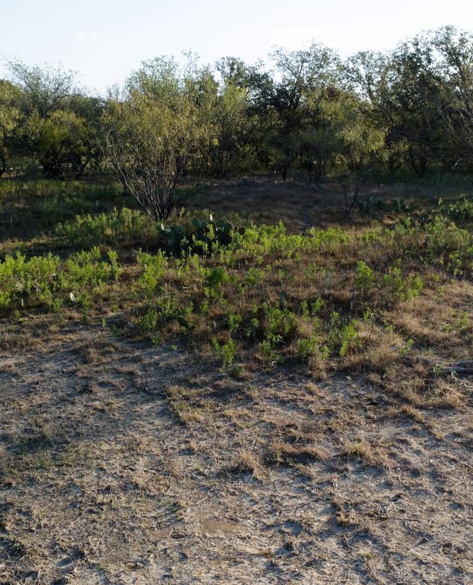 Secluded 160 Acres in Graham, TX
