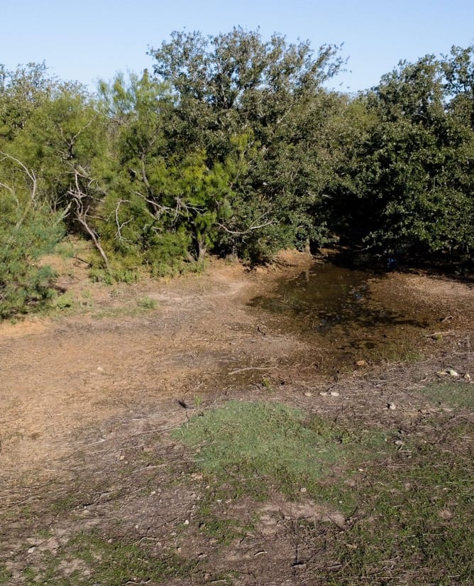 Secluded 160 Acres in Graham, TX