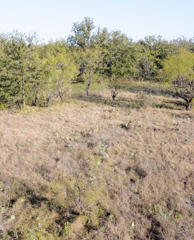 Secluded 160 Acres in Graham, TX
