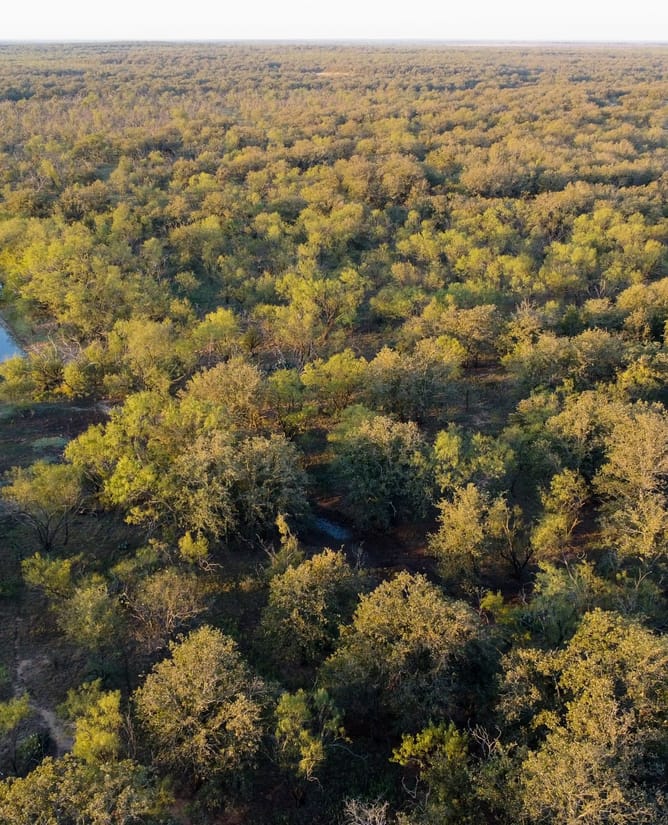 Secluded 160 Acres in Graham, TX