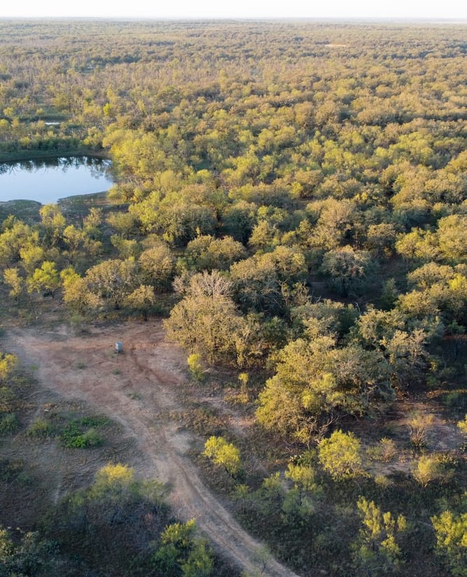 Secluded 160 Acres in Graham, TX