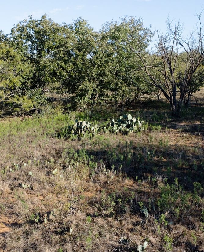 Secluded 160 Acres in Graham, TX