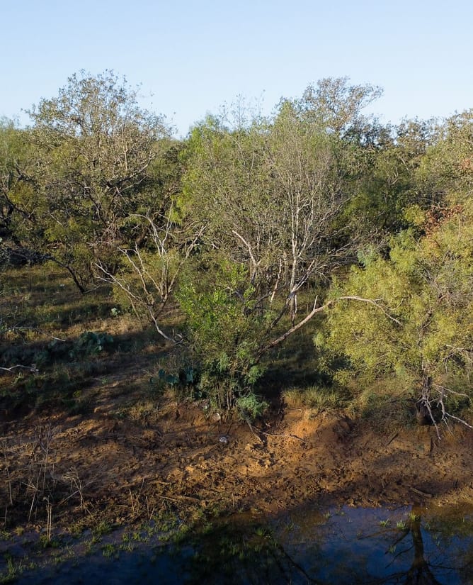 Secluded 160 Acres in Graham, TX