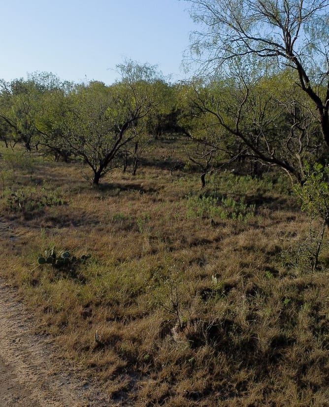 Secluded 160 Acres in Graham, TX