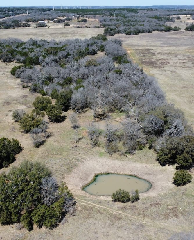 100 Acres In Between Hico and Iradell, TX