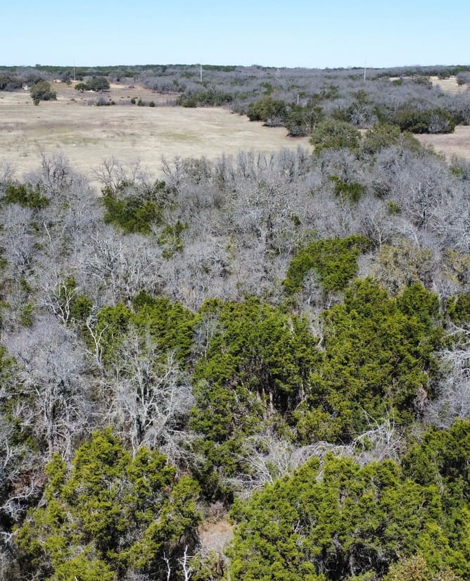 100 Acres In Between Hico and Iradell, TX