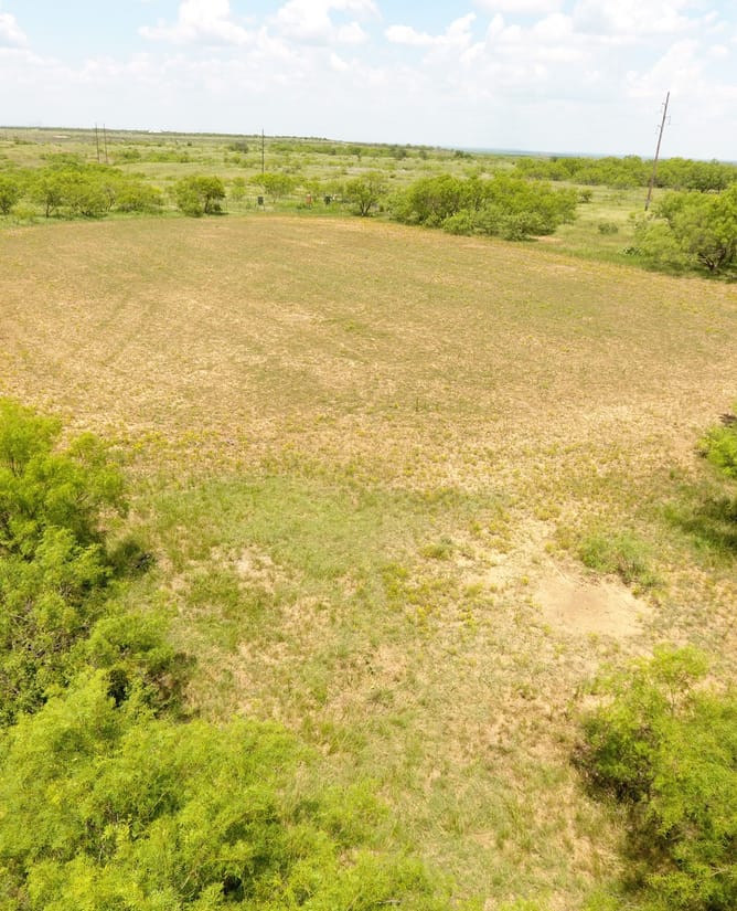 Big Game Ranch Near the Waggoner