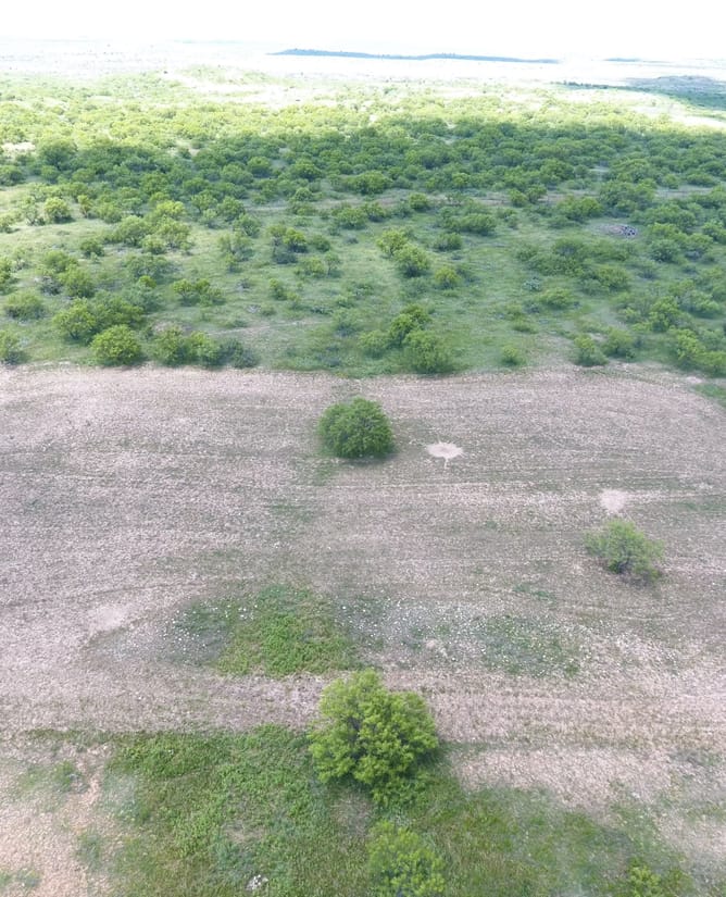 Big Game Ranch Near the Waggoner