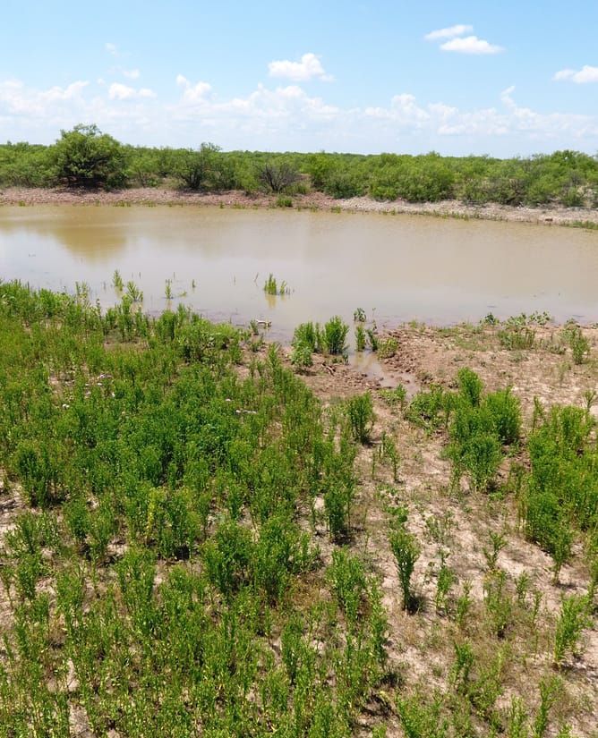 Big Game Ranch Near the Waggoner