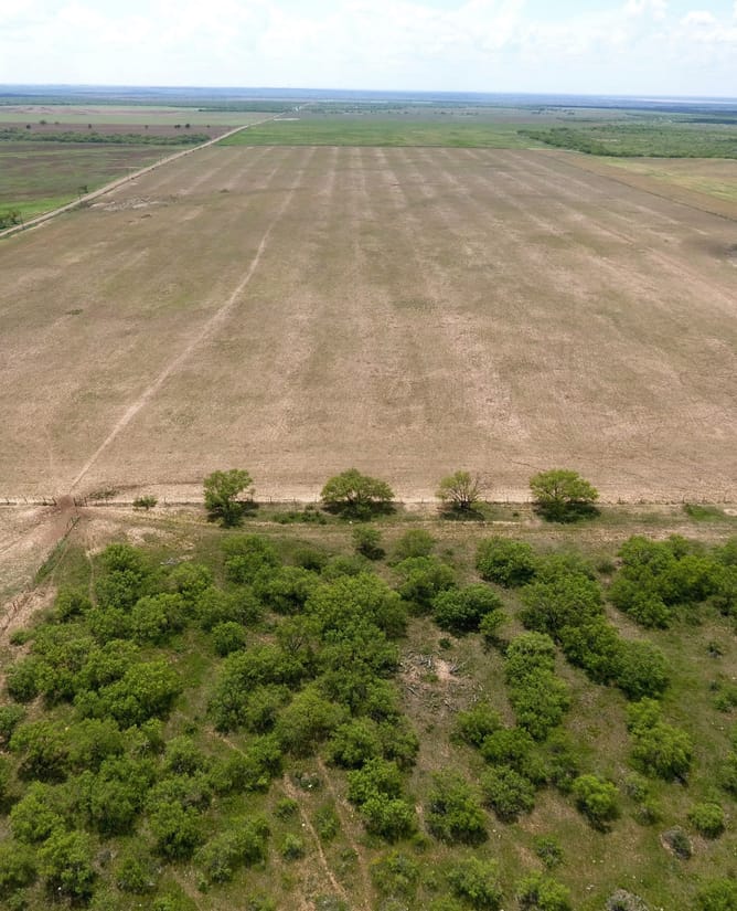 Big Game Ranch Near the Waggoner