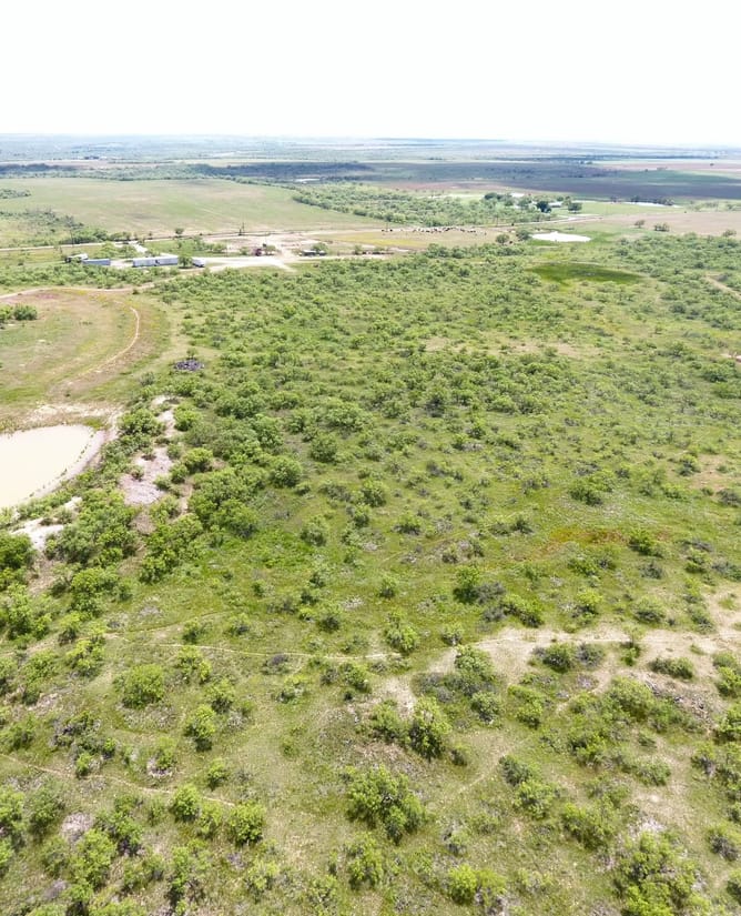 Big Game Ranch Near the Waggoner