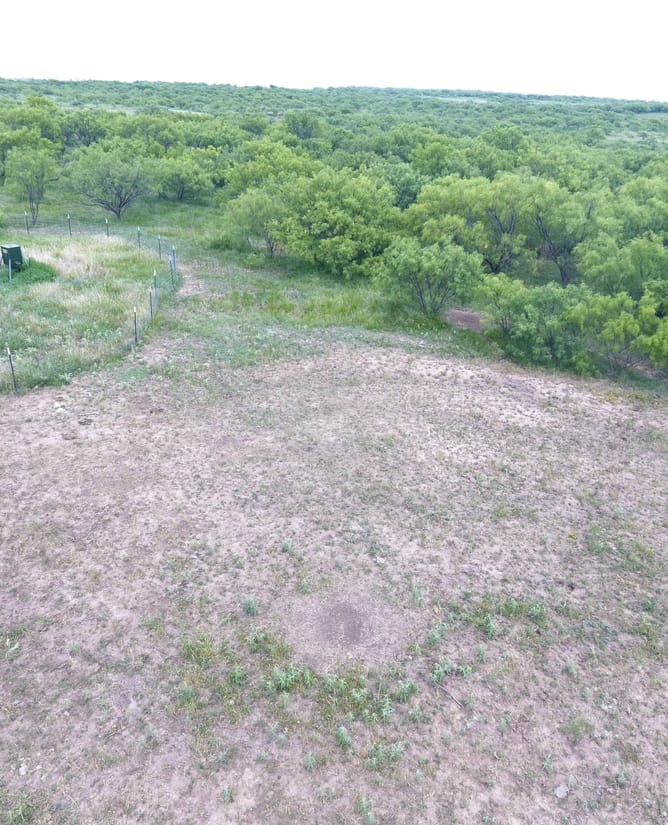 Big Game Ranch Near the Waggoner