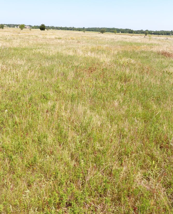 9.97 acres in Combine, TX