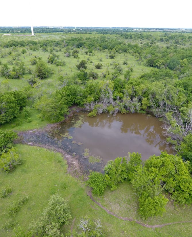 100 Acre Recreational Property between Mount Calm & Hubbard