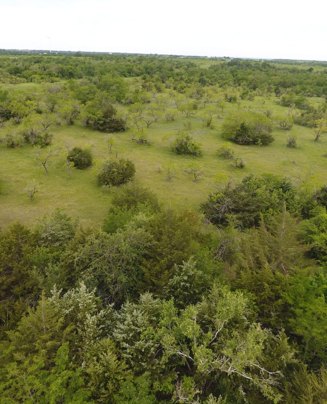100 Acre Recreational Property between Mount Calm & Hubbard
