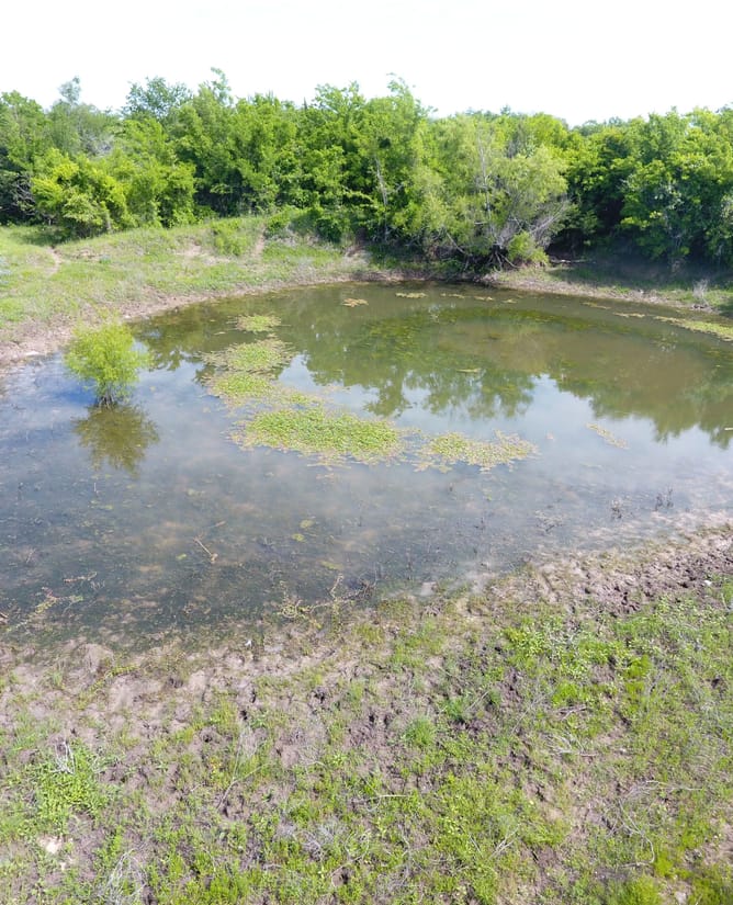 100 Acre Recreational Property between Mount Calm & Hubbard