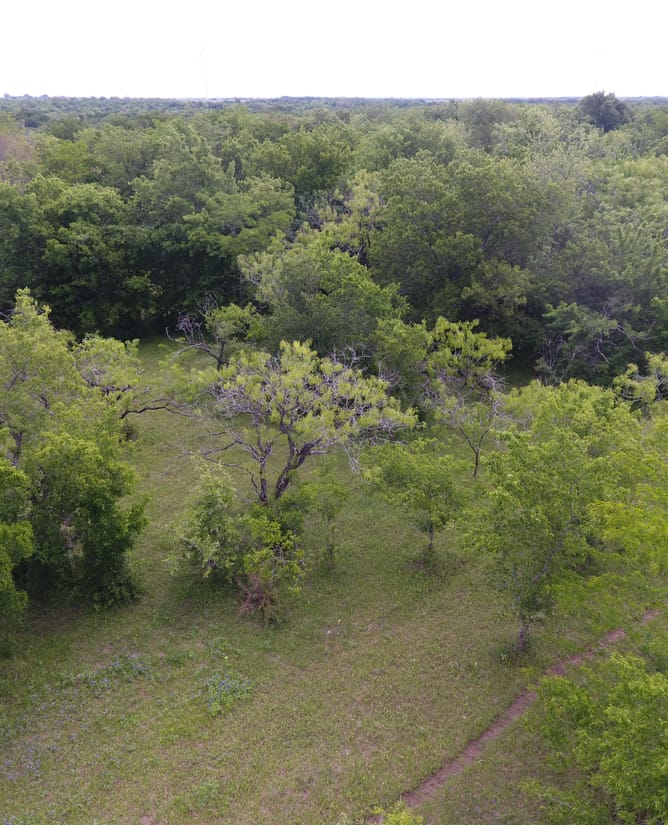 100 Acre Recreational Property between Mount Calm & Hubbard