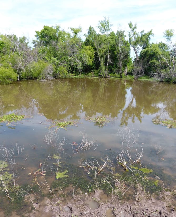 100 Acre Recreational Property between Mount Calm & Hubbard