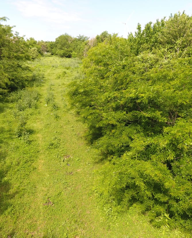 100 Acre Recreational Property between Mount Calm & Hubbard