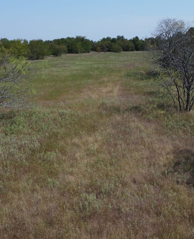 Tract 3 in Commerce, TX