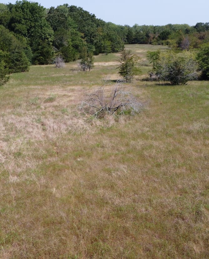 Tract 3 in Commerce, TX