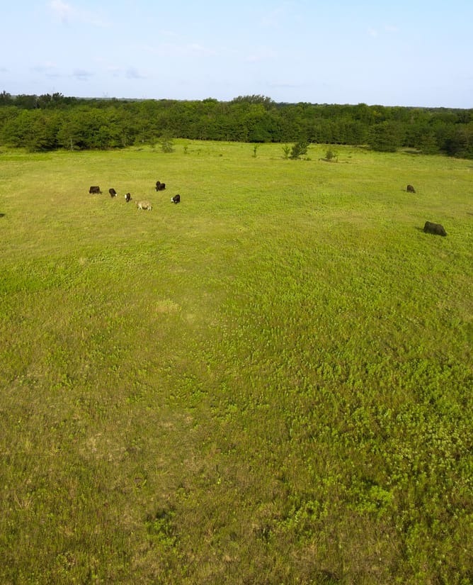 54 Acres Near Lone Oak, TX