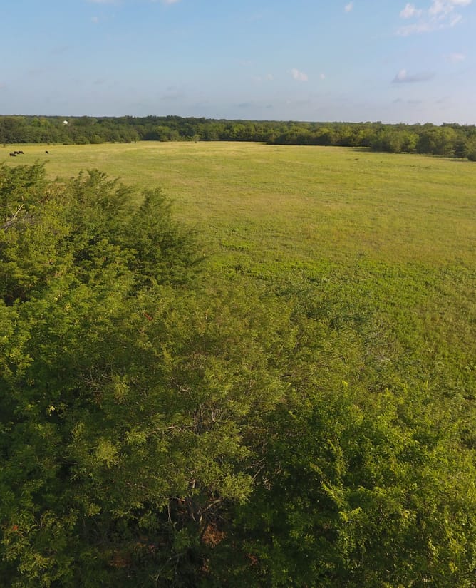 54 Acres Near Lone Oak, TX