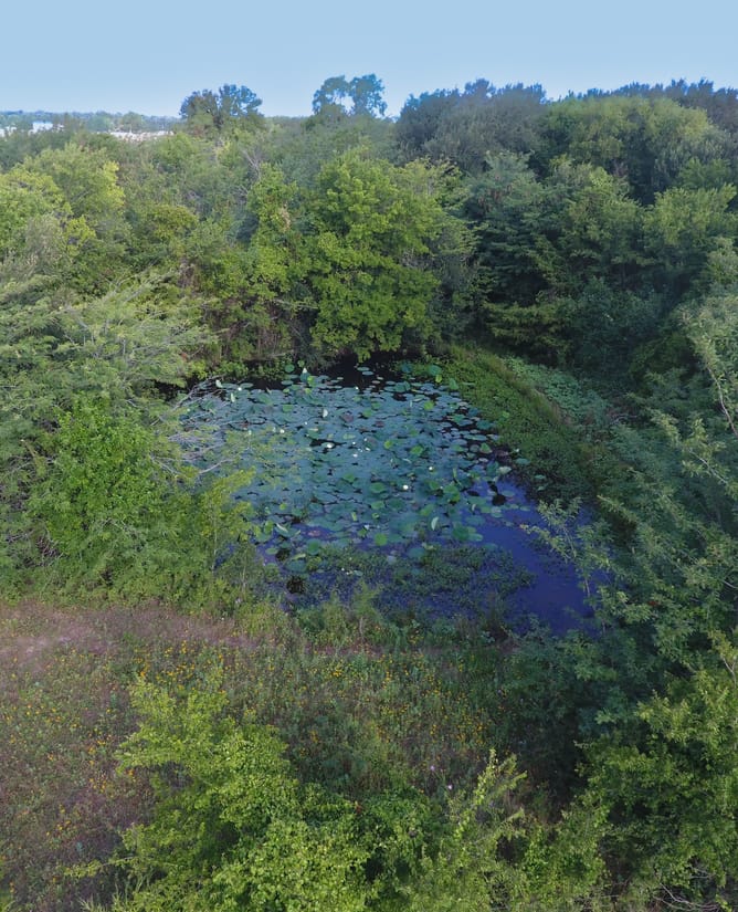 54 Acres Near Lone Oak, TX