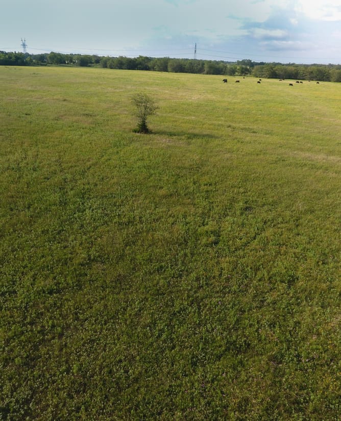 54 Acres Near Lone Oak, TX