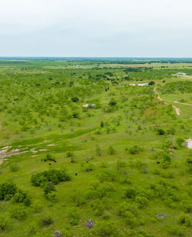 4B Ranch | 832+/- Acres Hunting Ranch