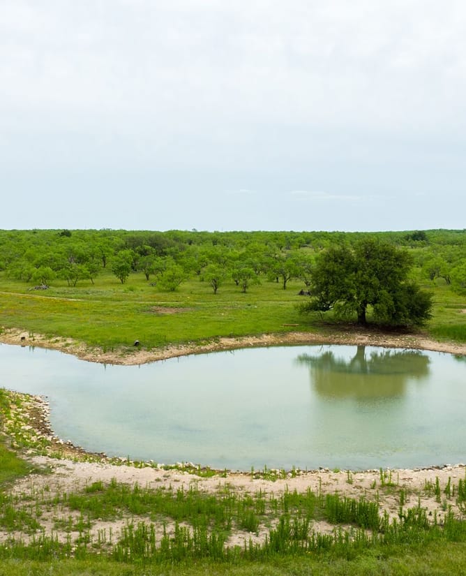 4B Ranch | 832+/- Acres Hunting Ranch