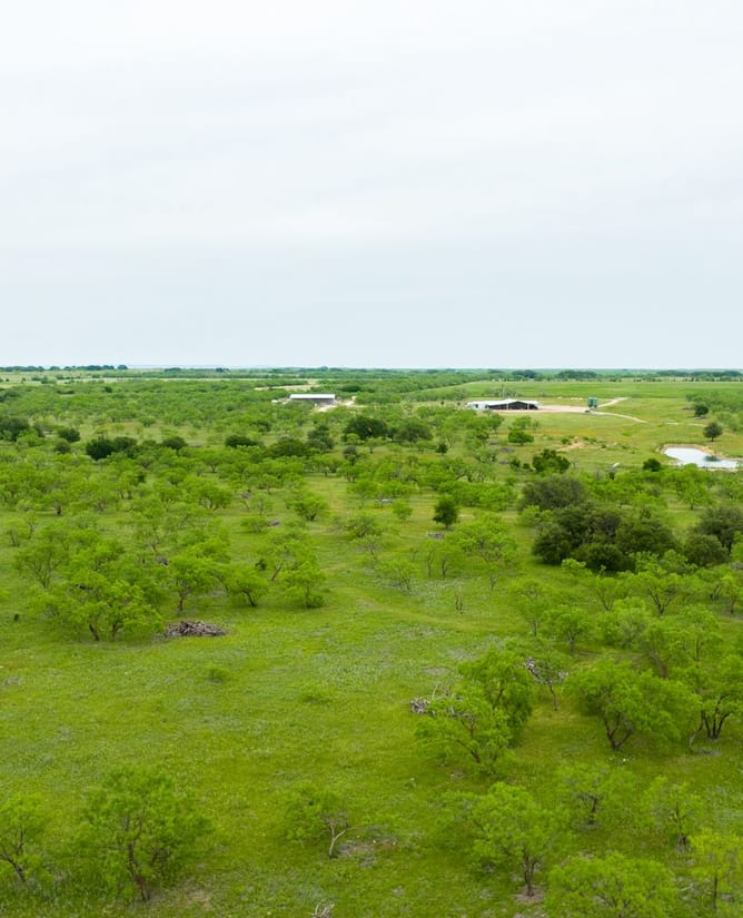4B Ranch | 832+/- Acres Hunting Ranch