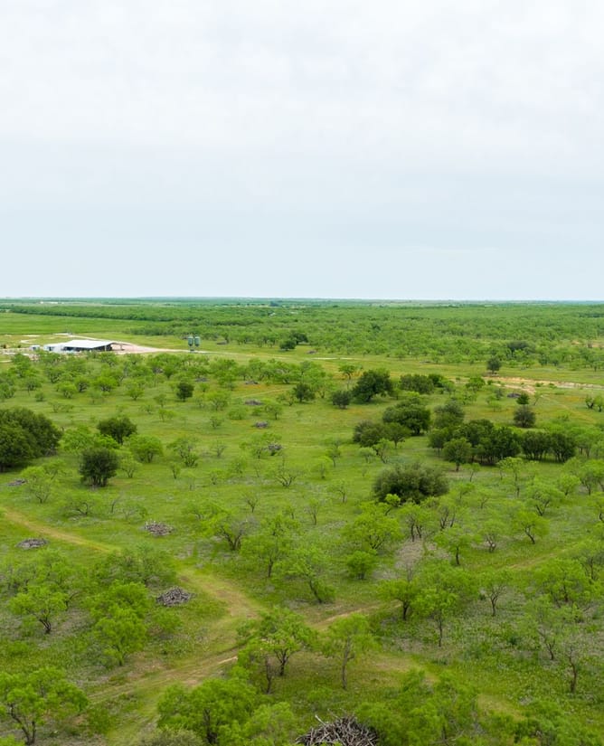 4B Ranch | 832+/- Acres Hunting Ranch