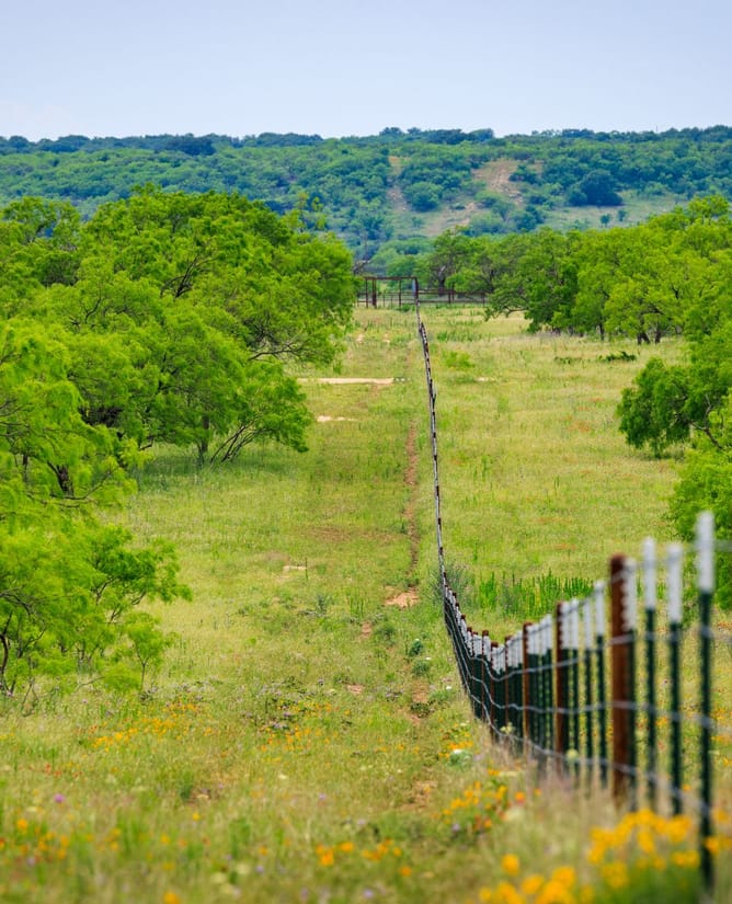 4B Ranch | 832+/- Acres Hunting Ranch