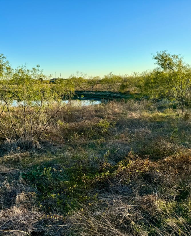 Bardwell Estates Tract 7