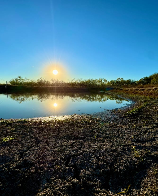 Bardwell Estates Tract 7