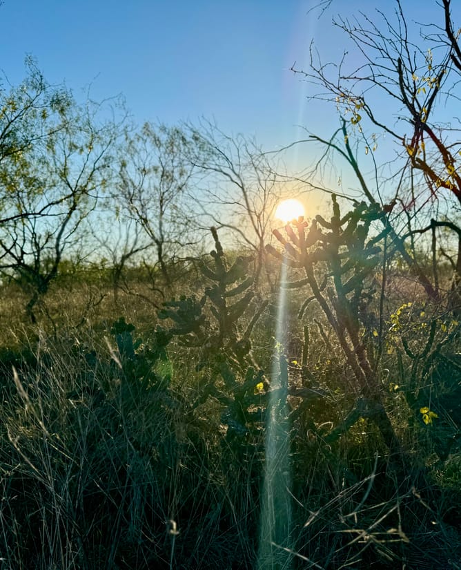 Bardwell Estates Tract 7