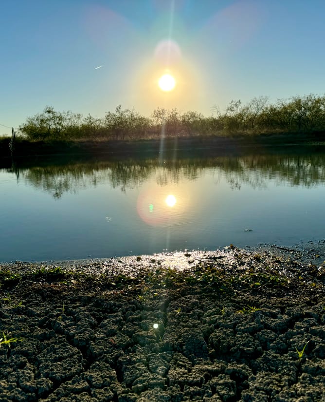 Bardwell Estates Tract 7