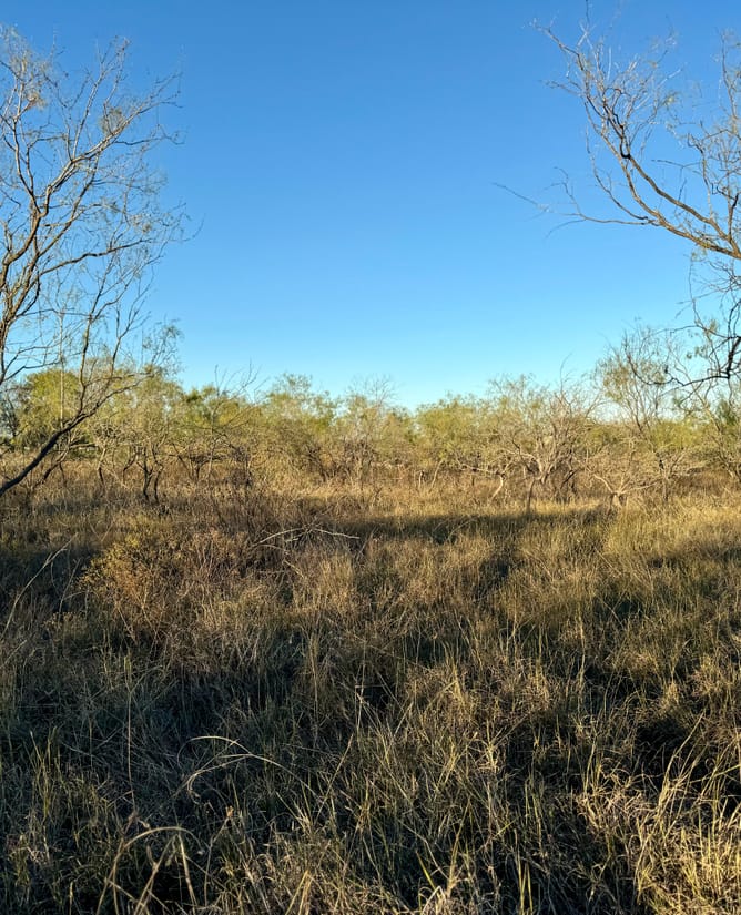 Bardwell Estates Tract 7